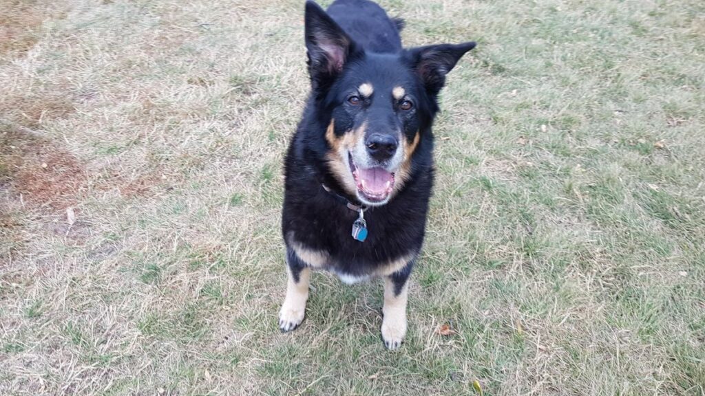 Image #1 from Sheri Lowe