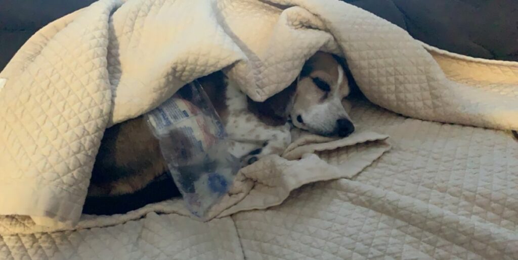 Image #1 from Angela Simpson