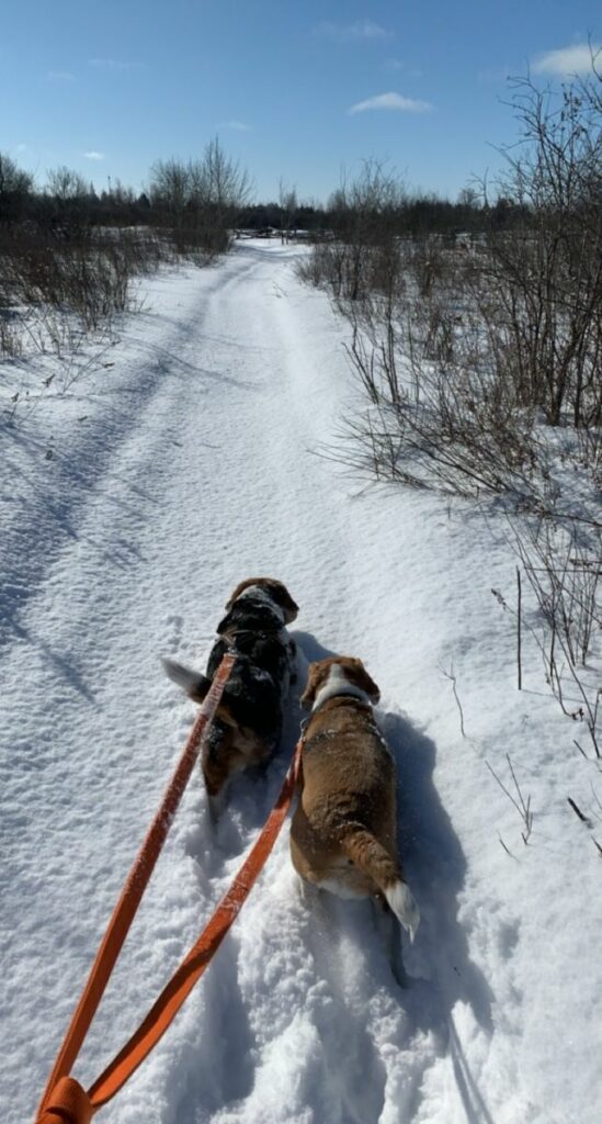 Image #3 from Angela Simpson