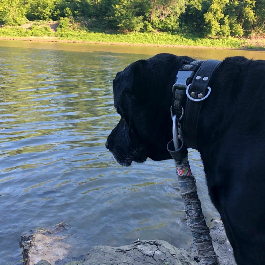 Image #1 from Angela