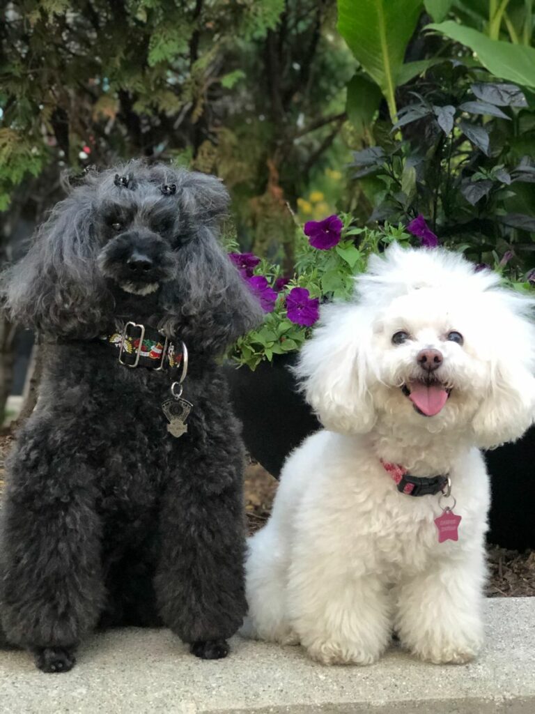 Image #1 from Tiffaney