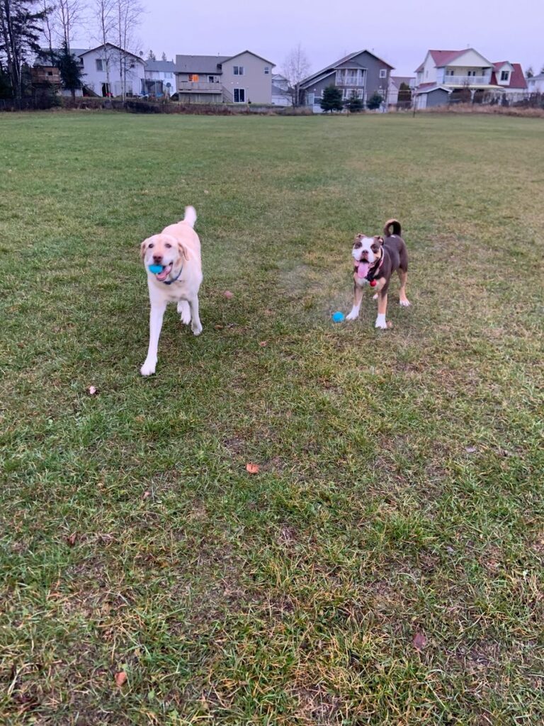 Image #1 from Dylan W.