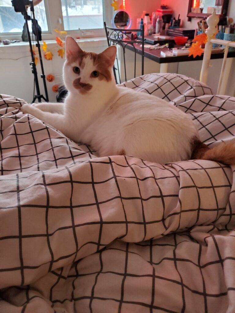 Image #1 from Shannon Harms