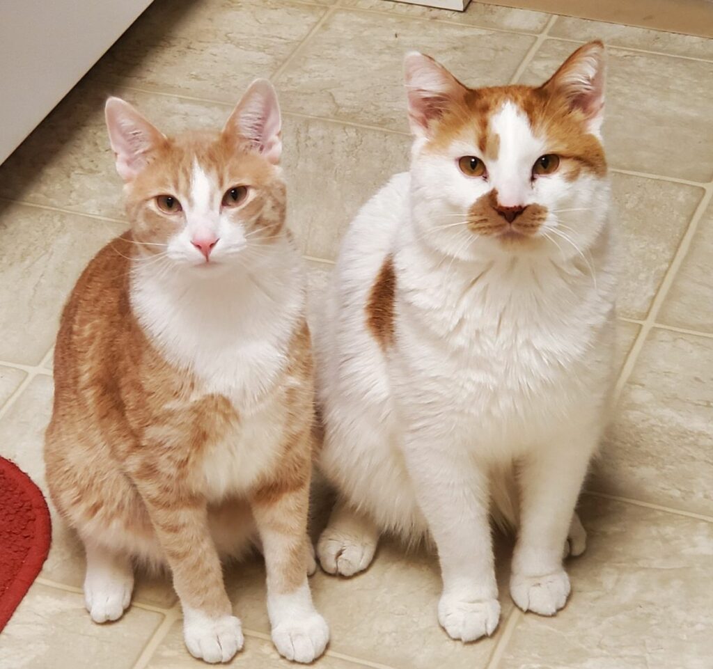 Image #2 from Shannon Harms