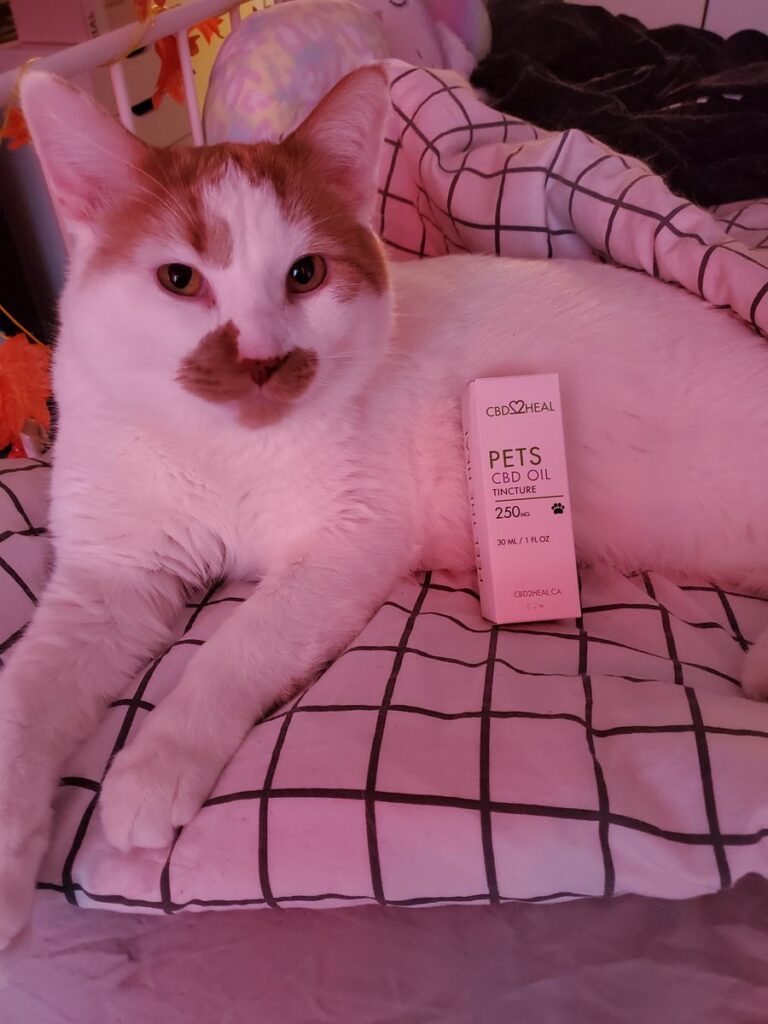 Image #1 from Shannon Harms