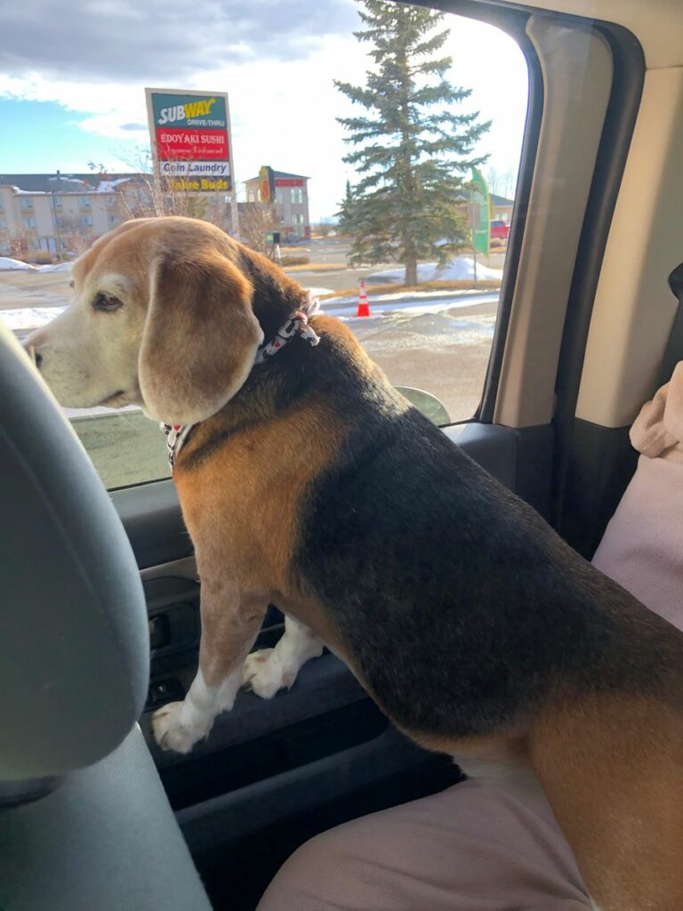 Image #1 from Wade Edwards