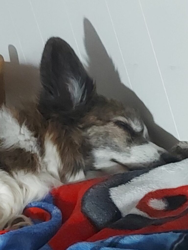 Image #2 from Anonymous