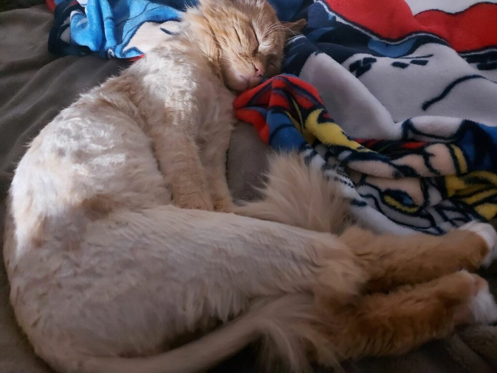 Image #1 from Anonymous