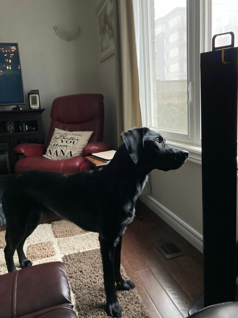 Image #1 from Pat Hawes