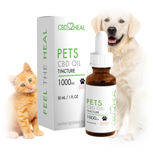 CBD2HEAL Pets CBD Oil 1000mg - Salmon