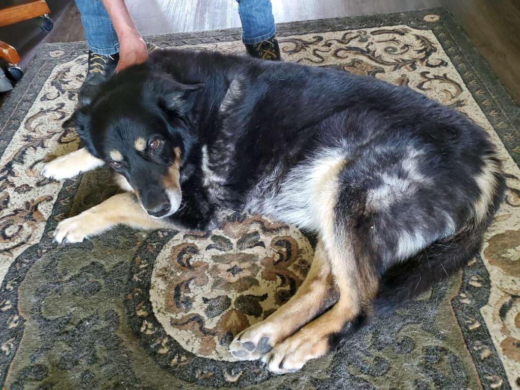 Image #1 from Sheri Lowe