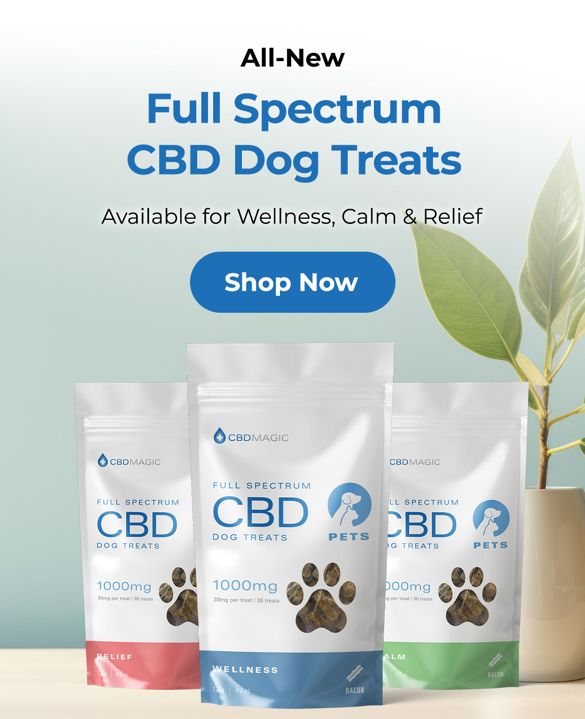 All-New CBD Dog Treats