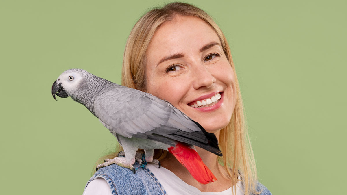 The Rise of CBD for Exotic Pets: Parrots, Ferrets & More