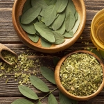 The Intersection of CBD and Herbal Medicine: Synergizing Wellness